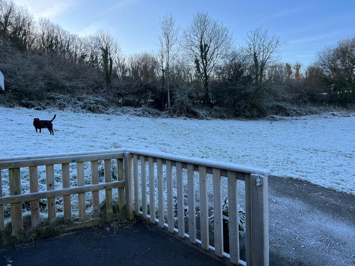 Kabin In The Woods Villa Llandybie Exterior photo