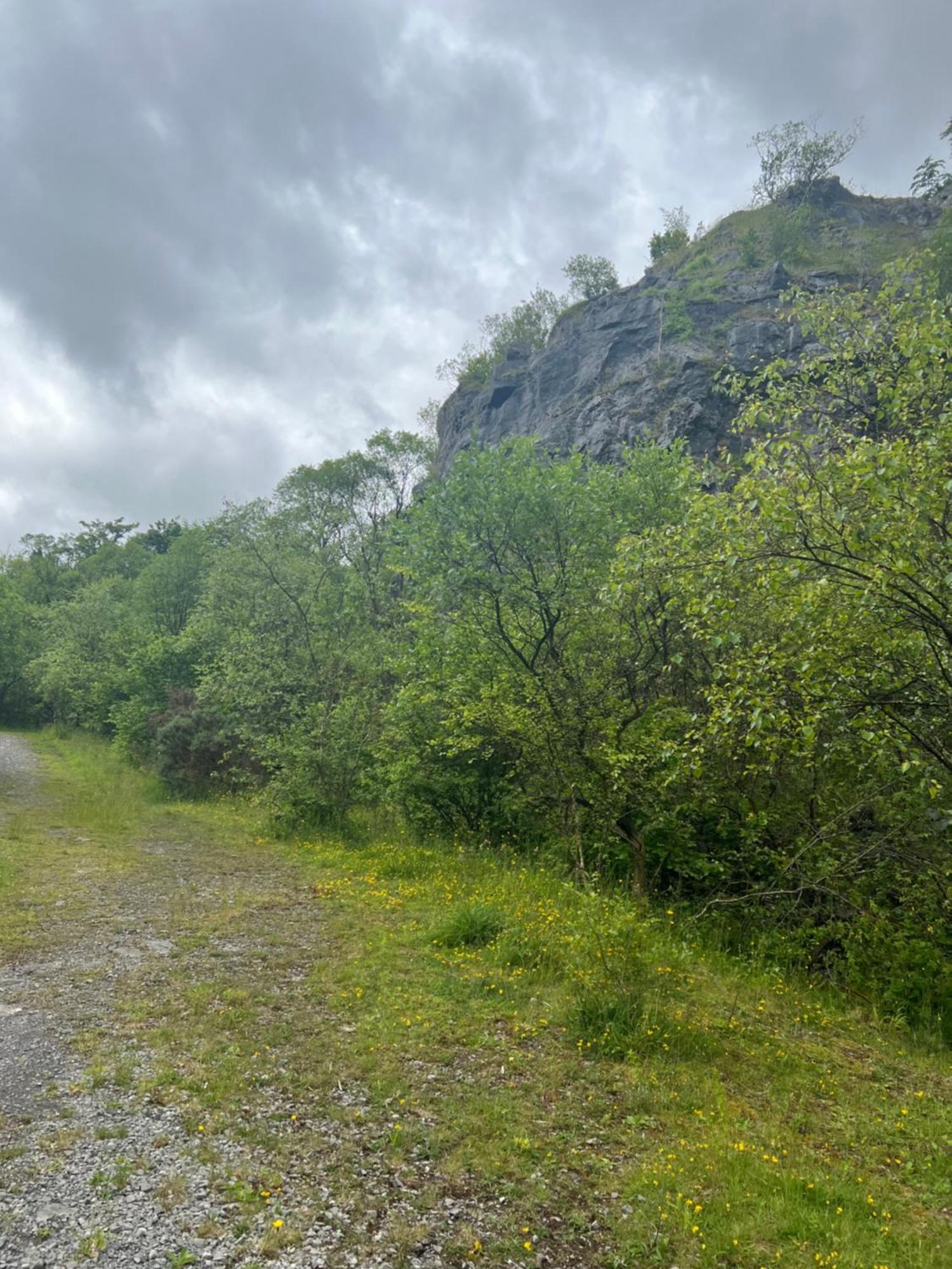 Kabin In The Woods Llandybie Exterior photo