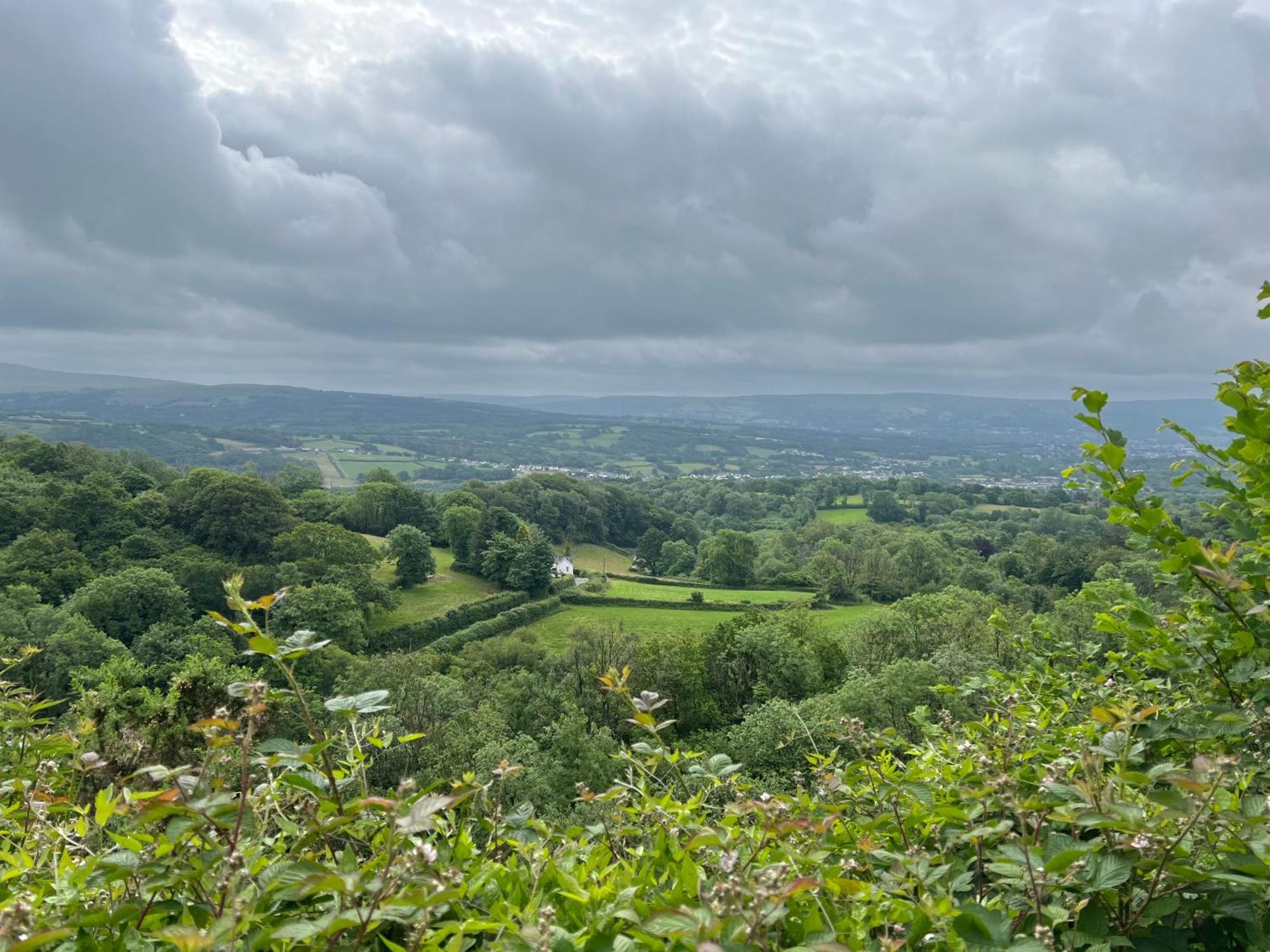 Kabin In The Woods Llandybie Exterior photo