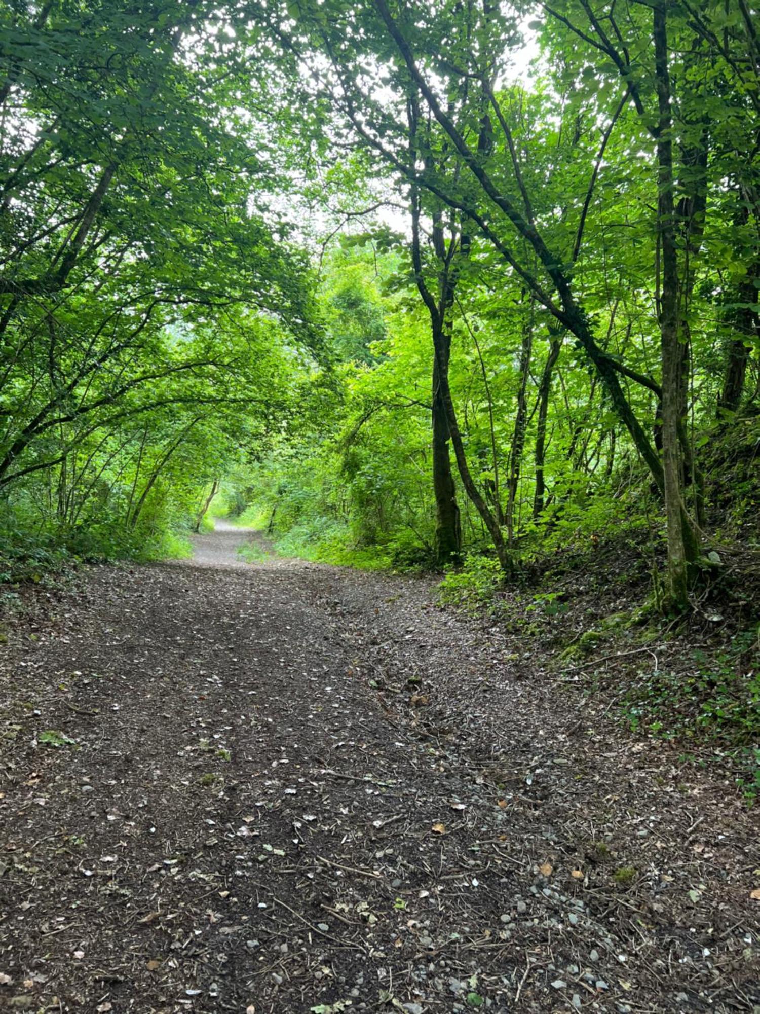 Kabin In The Woods Llandybie Exterior photo